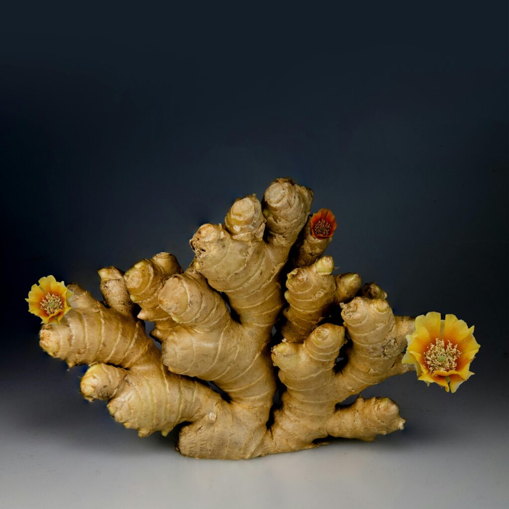 a ginger root with flowers