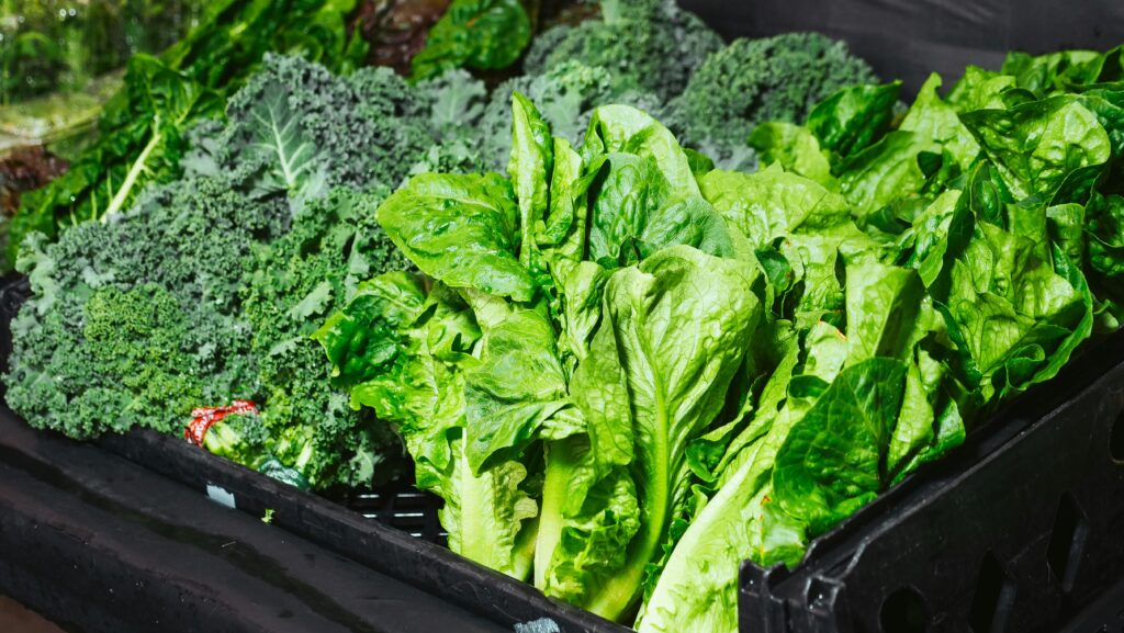 a group of green vegetables in a bin